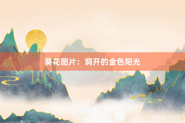 葵花图片:洞开的金色阳光
