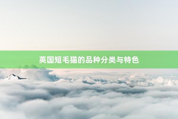 英国短毛猫的品种分类与特色