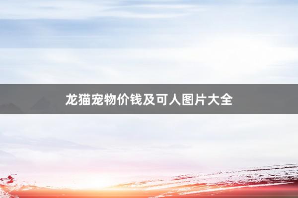 龙猫宠物价钱及可人图片大全